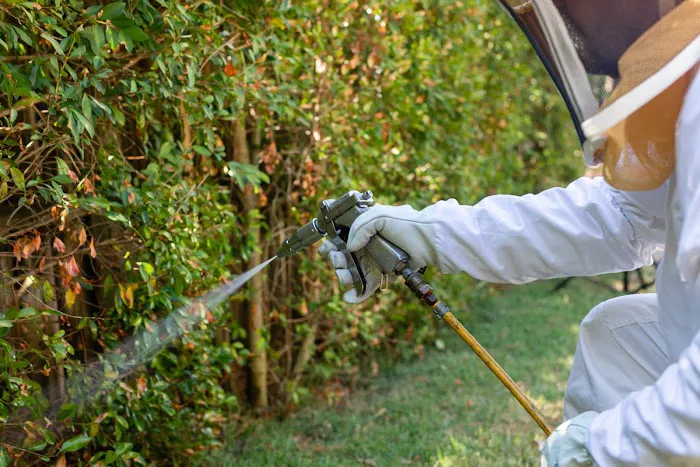 Eastland Pest Control Picture 10