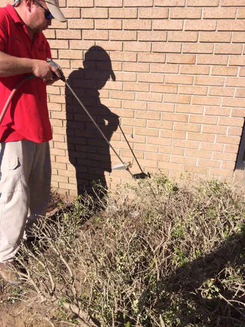 Eastland Pest Control Picture 4