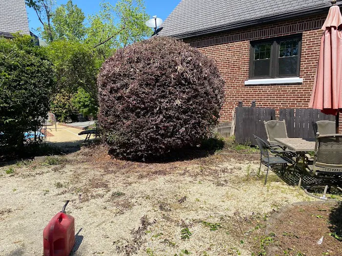 Great Quality Pest Solutions & Great Quality Lawn Care Picture 10