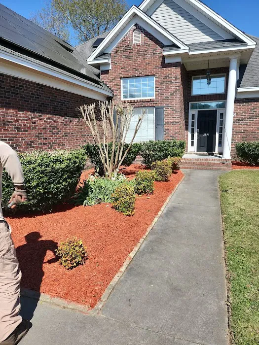 Great Quality Pest Solutions & Great Quality Lawn Care Picture 4