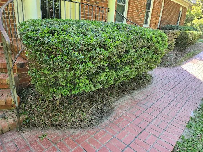 Great Quality Pest Solutions & Great Quality Lawn Care Picture 8