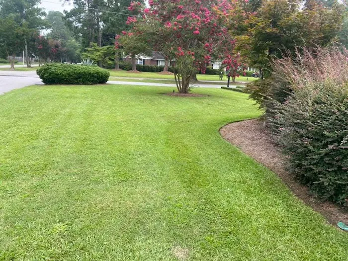 Great Quality Pest Solutions & Great Quality Lawn Care Picture 7