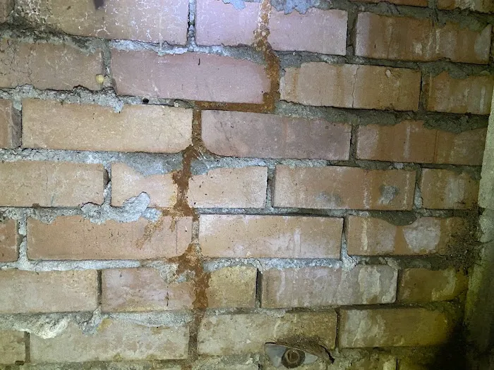 Great Quality Pest Solutions & Great Quality Lawn Care Picture 9