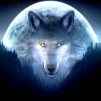 Lone Wolf Pest Solutions ico