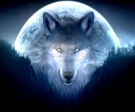 Lone Wolf Pest Solutions