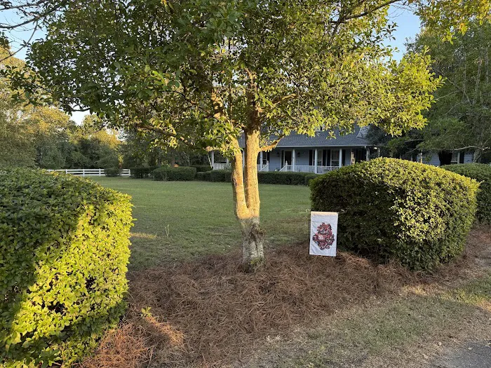 Yarbrough Termite-Pest Control Picture 1