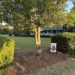 Yarbrough Termite-Pest Control