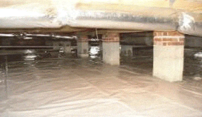 RPC Rollins Pest Control, Inc. Picture 9