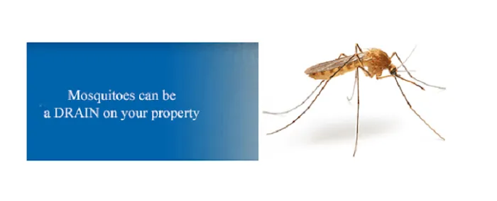 RPC Rollins Pest Control, Inc. Picture 2
