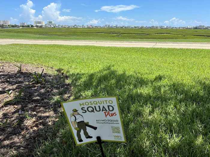 Mosquito Squad of Myrtle Beach Picture 8