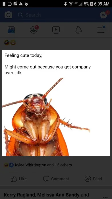 Victory Pest Control Picture 3