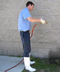 Brunswick Pest Control Picture 4