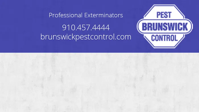 Brunswick Pest Control Picture 3