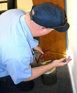 Brunswick Pest Control Picture 9
