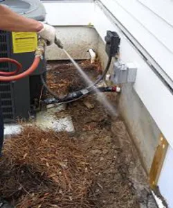 Brunswick Pest Control Picture 1