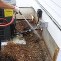Brunswick Pest Control ico