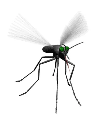 Mosquito Spray Services Picture 2