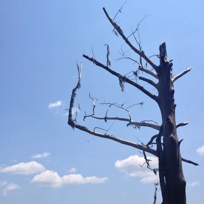 SERVPRO of Brunswick & South Columbus Counties Picture 9