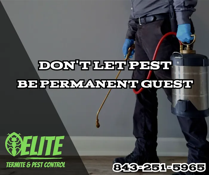 Elite Termite & Pest Control Picture 8