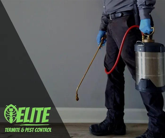 Elite Termite & Pest Control Picture 5