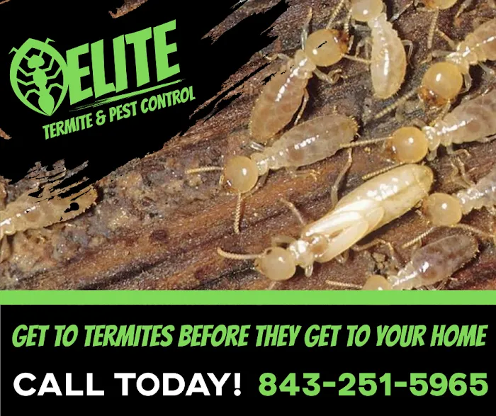 Elite Termite & Pest Control Picture 9