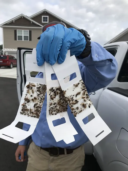 Total Pest Control Picture 1