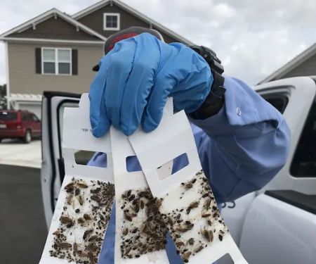 Total Pest Control