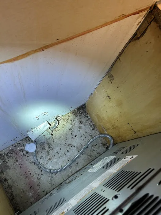 Total Pest Control Picture 3