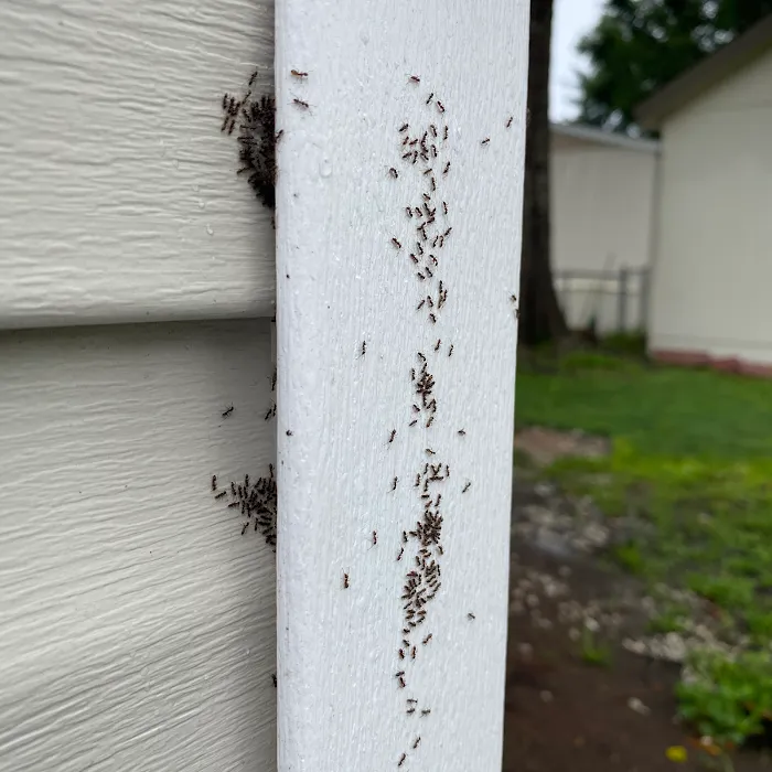 Total Pest Control Picture 2