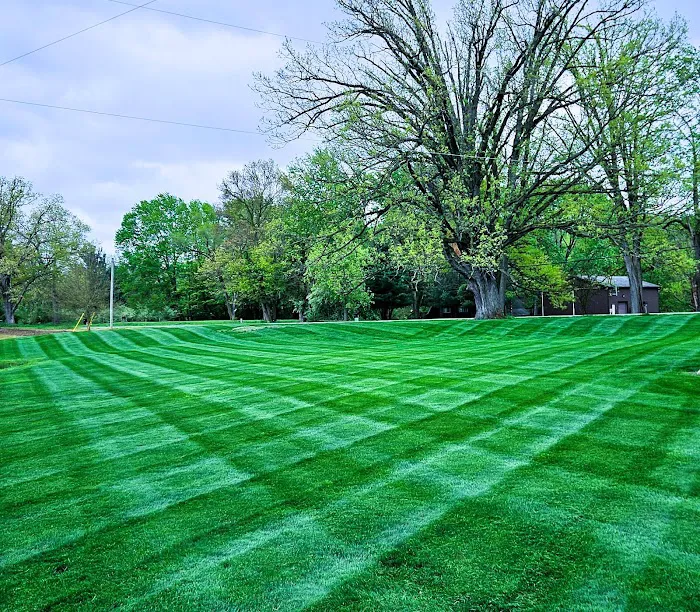 Green Pastures Picture 7