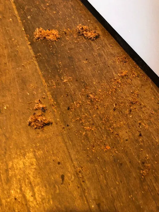 Vanish Pest Control Picture 5