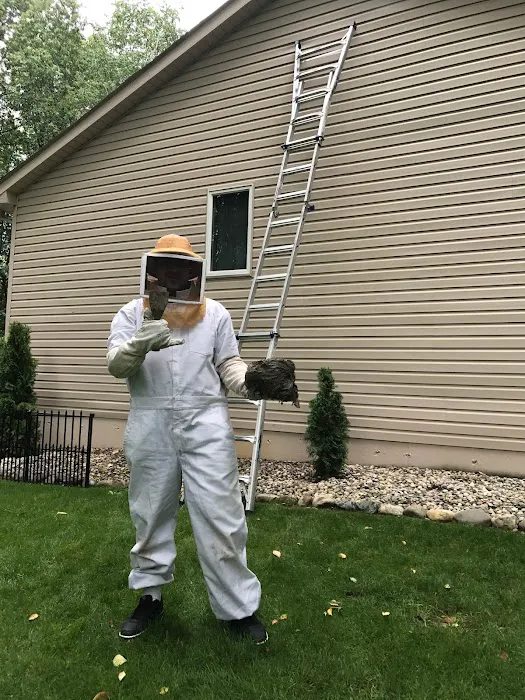Vanish Pest Control Picture 6