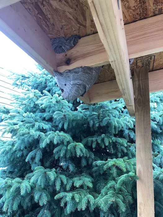 Vanish Pest Control Picture 7