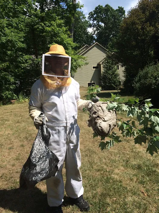 Vanish Pest Control Picture 3