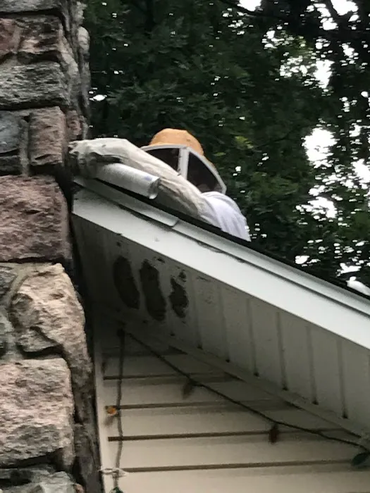 Vanish Pest Control Picture 8