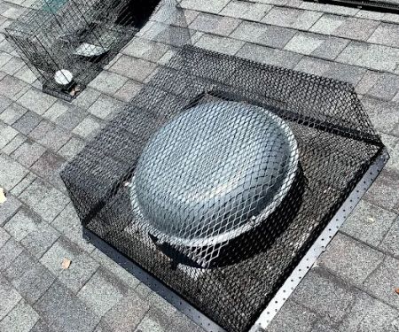 S.W.A.T Critter Solutions