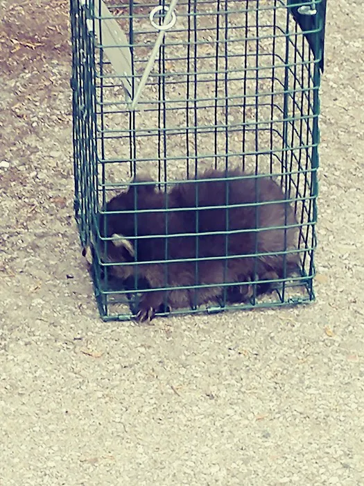 S.W.A.T Critter Solutions Picture 3