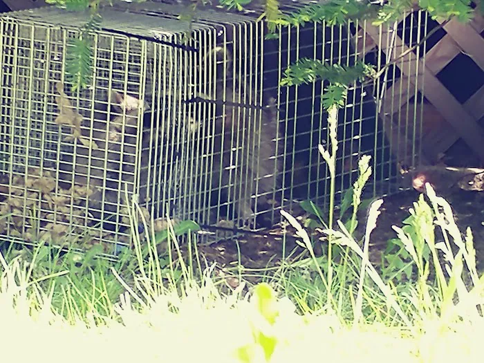 S.W.A.T Critter Solutions Picture 8