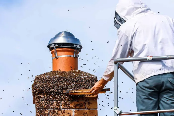 Expert Pest Control Picture 1