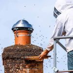 Expert Pest Control