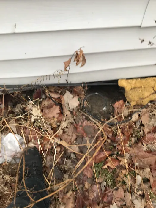 Pest Pounders Picture 9