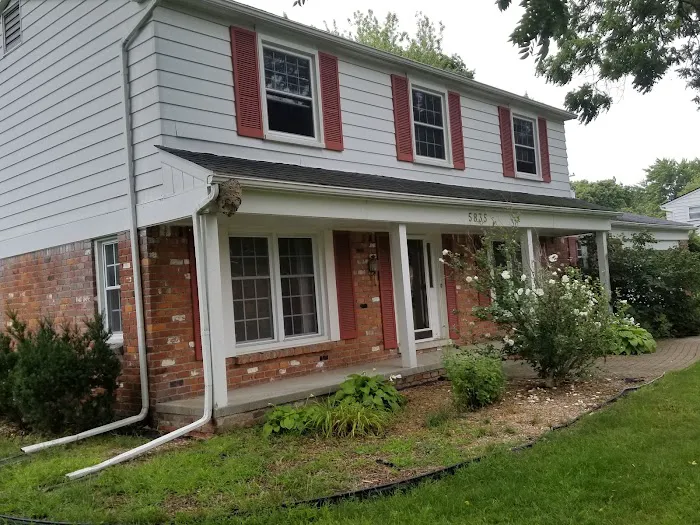 A1 Bee Specialists Bees, Hornets, and Wasp Nest Removal Picture 5