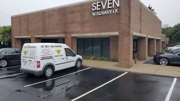 A1 Bee Specialists Bees, Hornets, and Wasp Nest Removal Picture 1