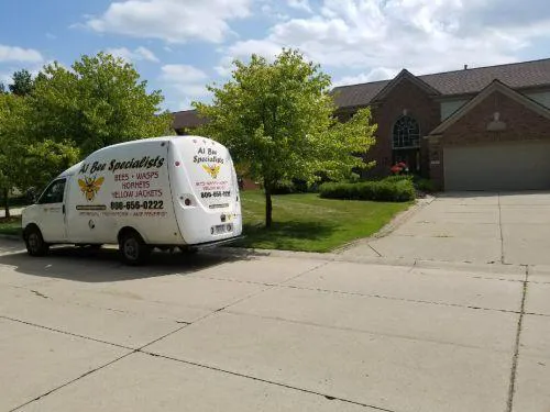 A1 Bee Specialists Bees, Hornets, and Wasp Nest Removal Picture 6
