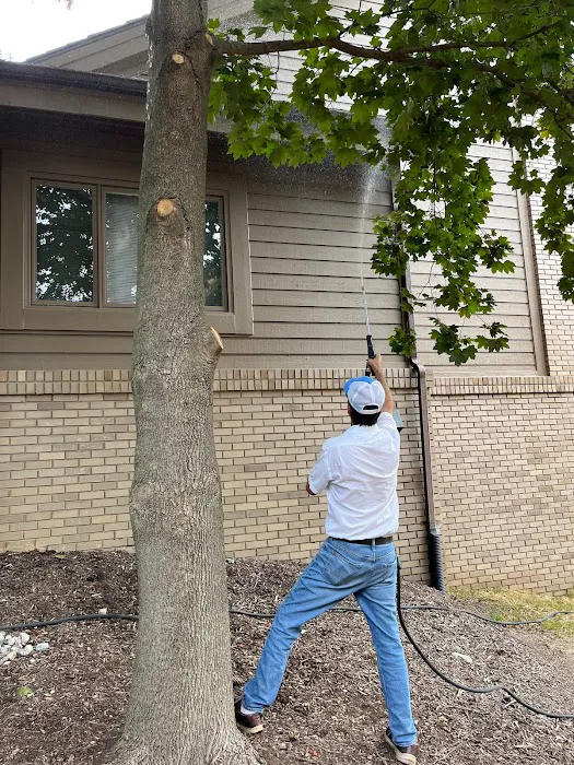 American Pest Control Picture 6