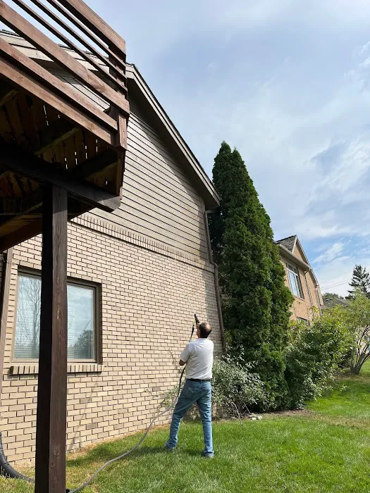 American Pest Control Picture 8