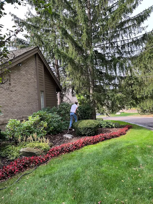American Pest Control Picture 9