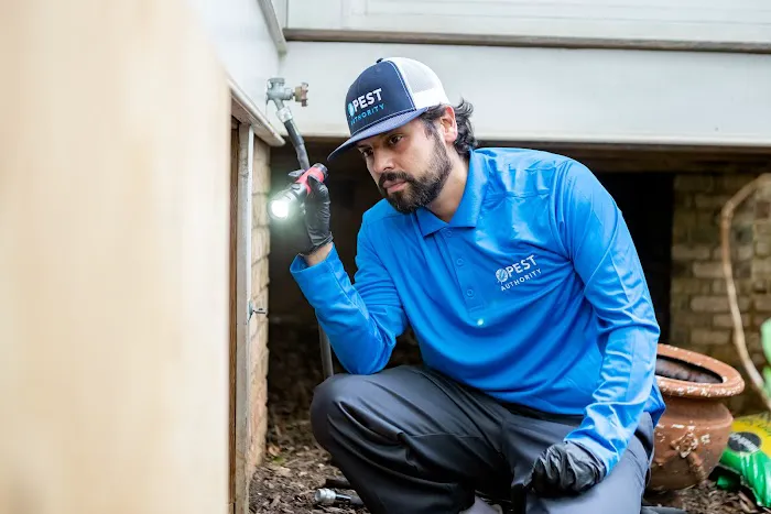 Pest Authority Picture 3