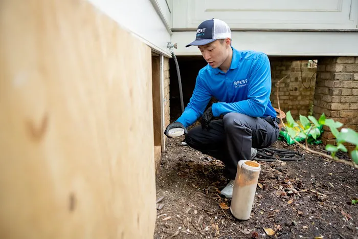 Pest Authority Picture 4