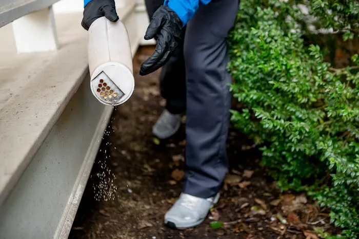 Pest Authority Picture 2